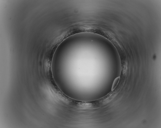 X0000090700476200707271113