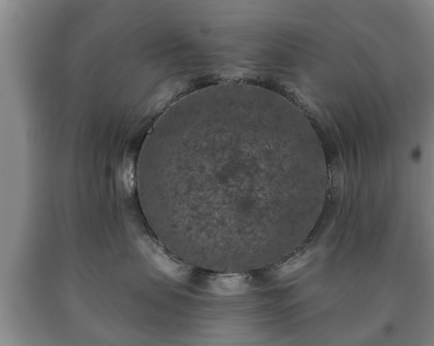 X0000090700479200707271113