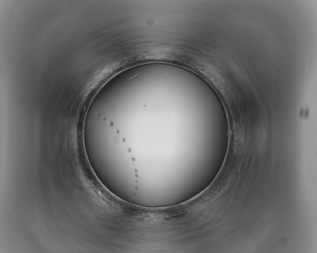 X0000090700482200707271112