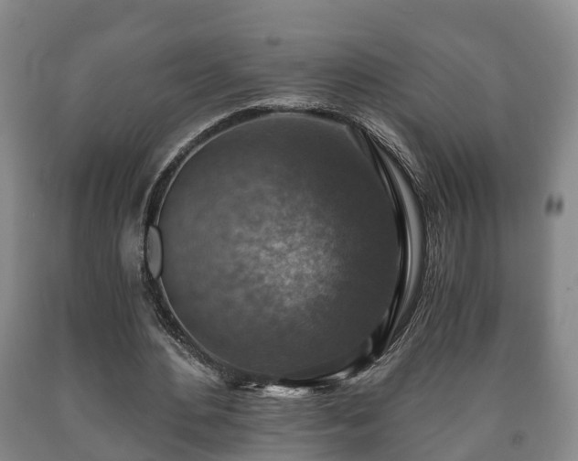 X0000090700484200707271112