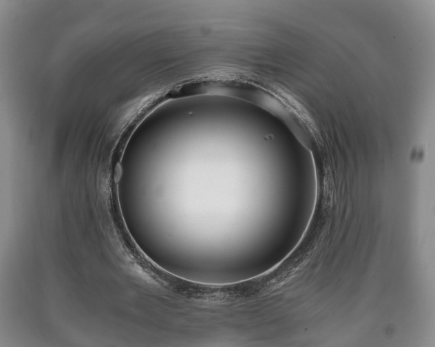 X0000090700485200707271112