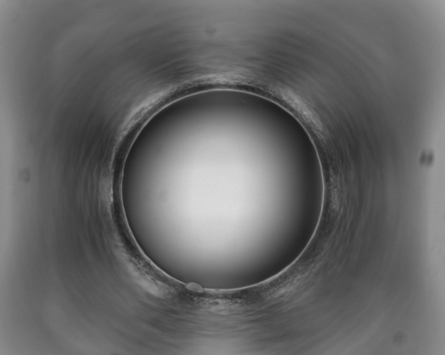 X0000090700486200707271112