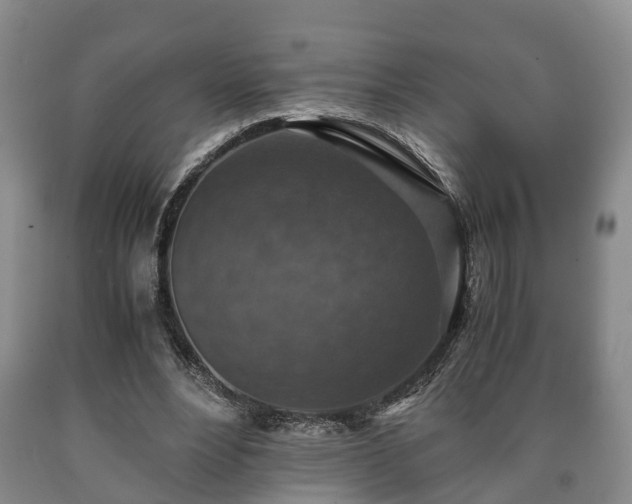 X0000090700488200707271112