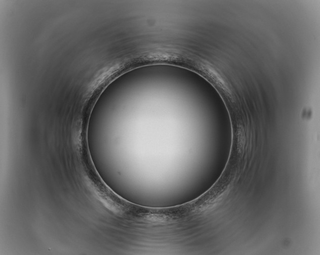 X0000090700490200707271112