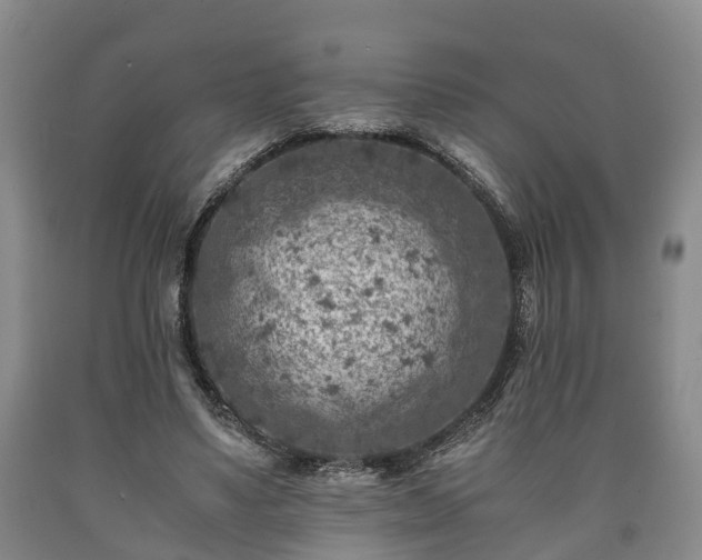 X0000090700491200707271112