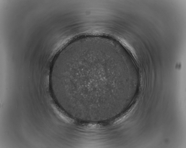 X0000090700493200707271112