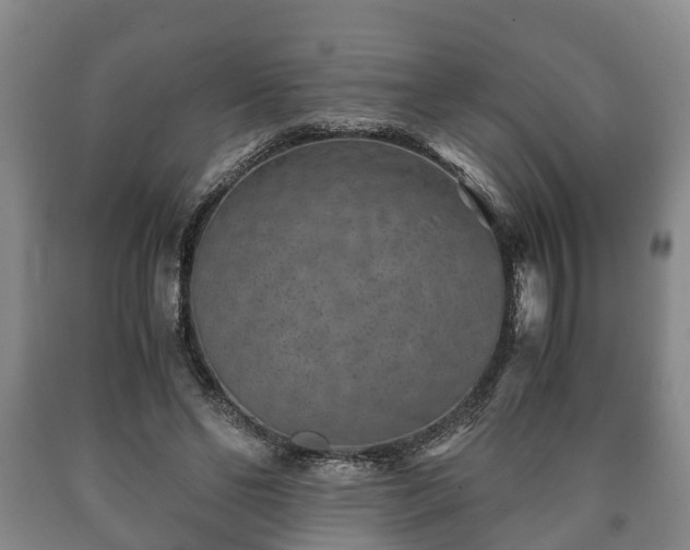 X0000090700494200707271112