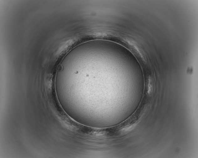 X0000090700495200707271112