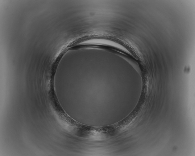 X0000090700496200707271112