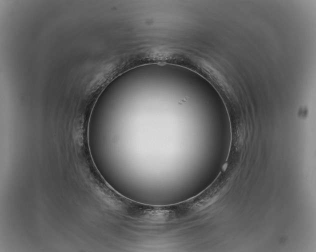 X0000090700497200707271112