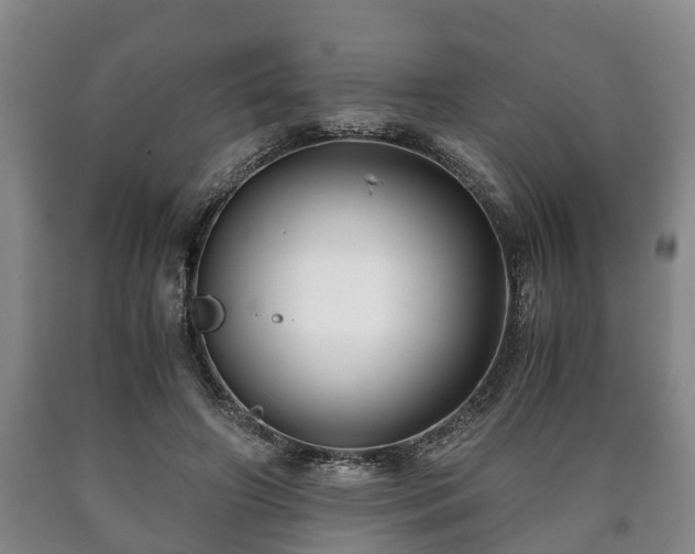 X0000090700498200707271112