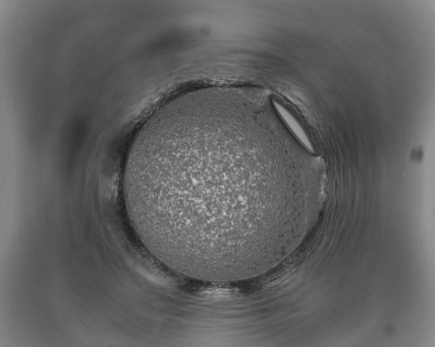 X0000090700499200707271112