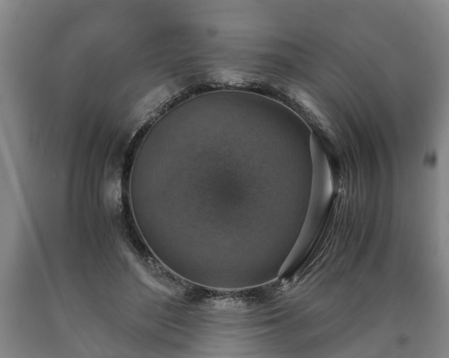 X0000090700500200707271112