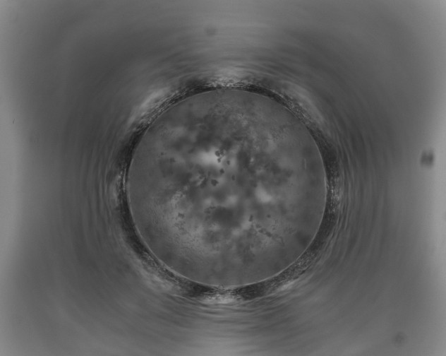 X0000090700503200707271112