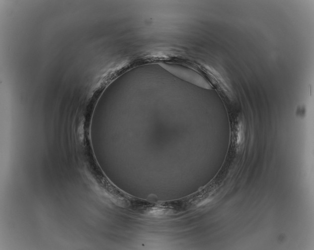 X0000090700504200707271112