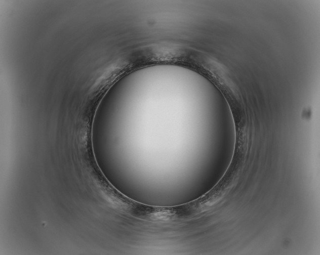 X0000090700505200707271112