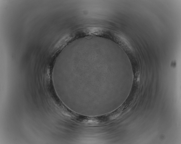 X0000090700506200707271112