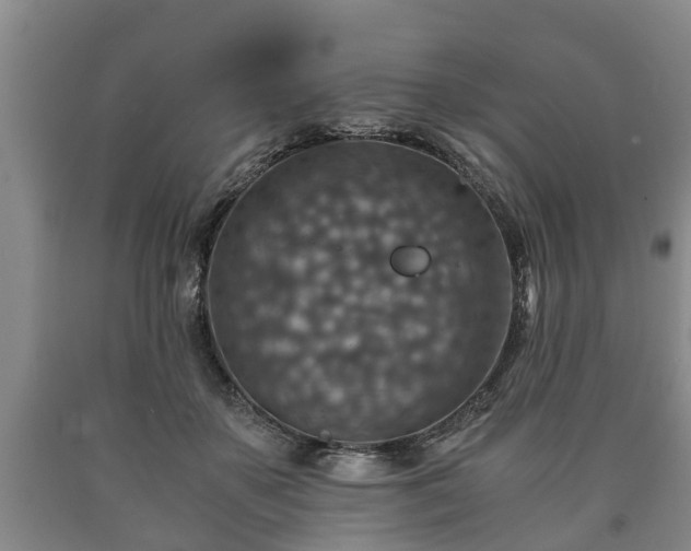 X0000090700507200707271112