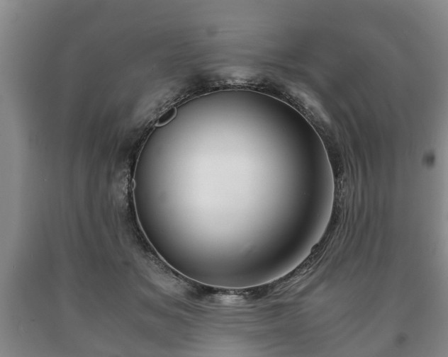 X0000090700509200707271112