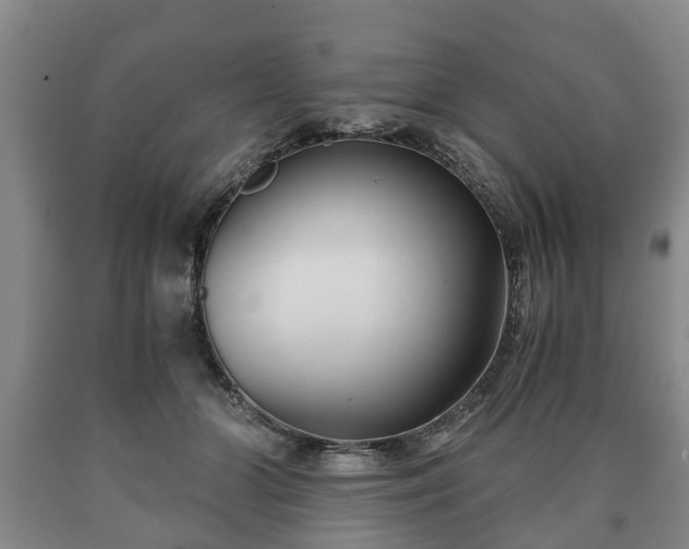 X0000090700510200707271112