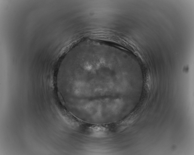 X0000090700512200707271112