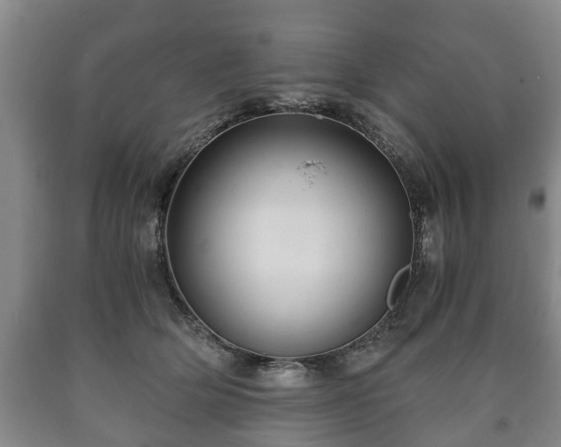 X0000090700514200707271111