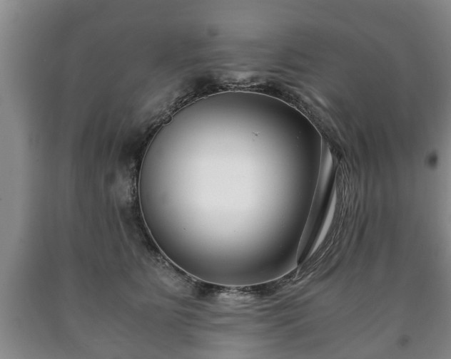 X0000090700515200707271111