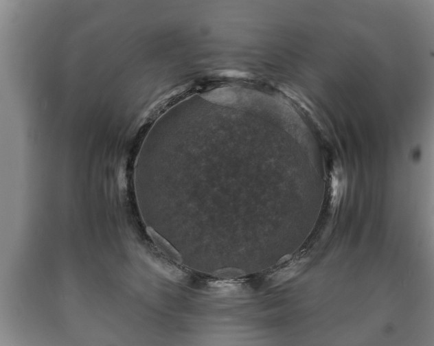 X0000090700516200707271111