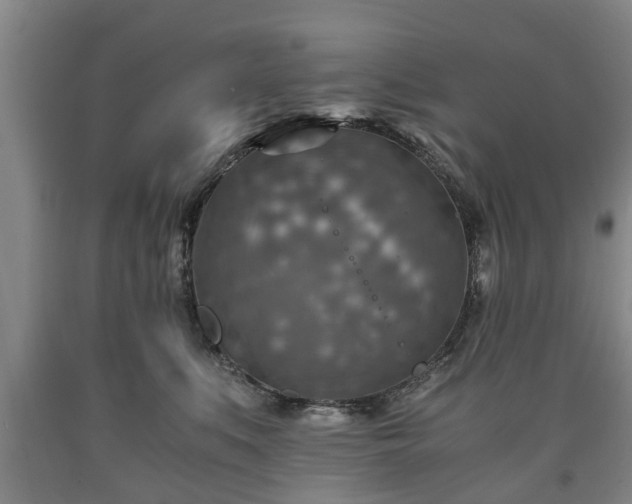 X0000090700519200707271111