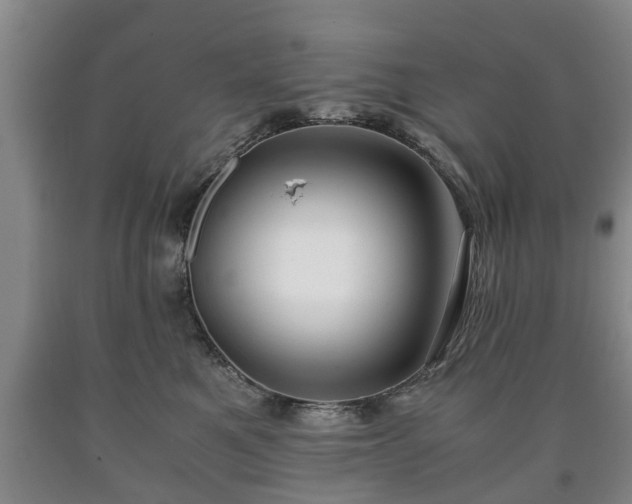 X0000090700521200707271111