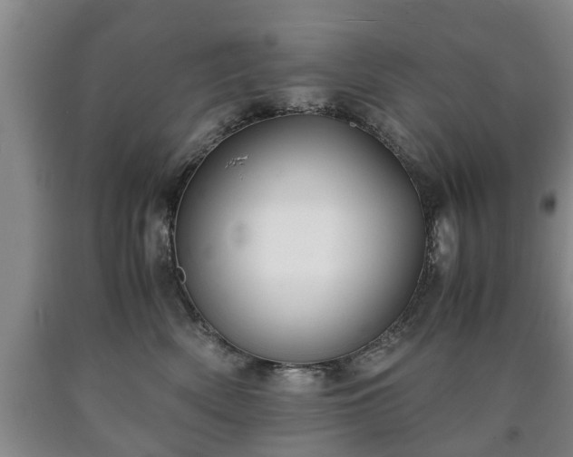 X0000090700522200707271111