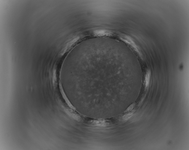 X0000090700524200707271111