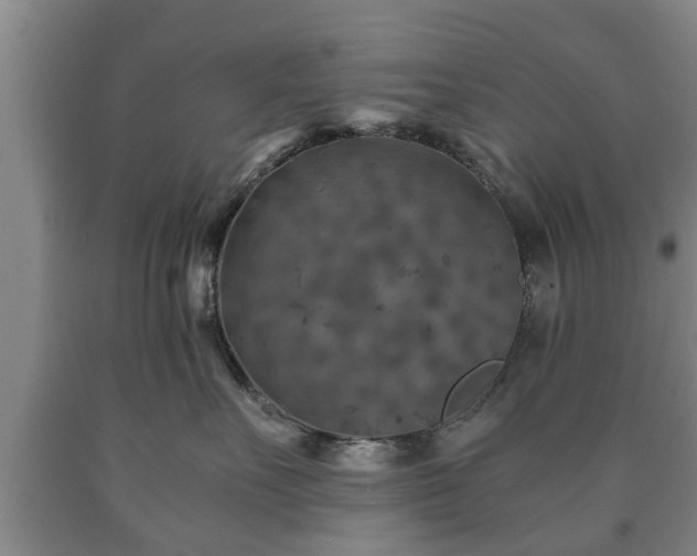 X0000090700527200707271111