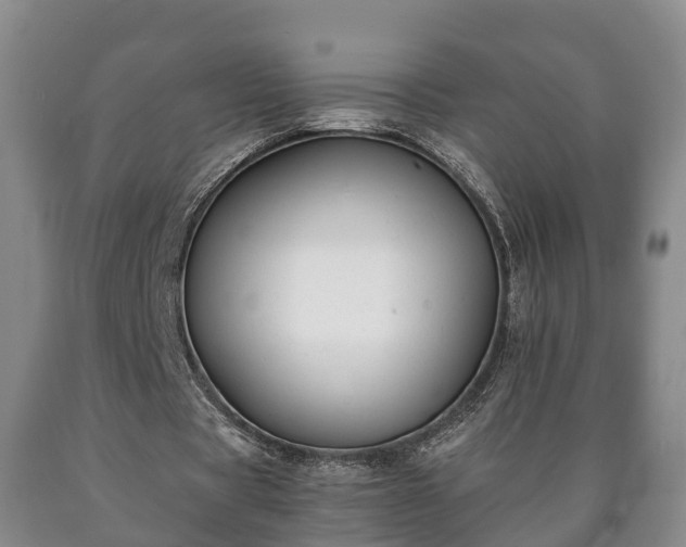 X0000090700529200707271111