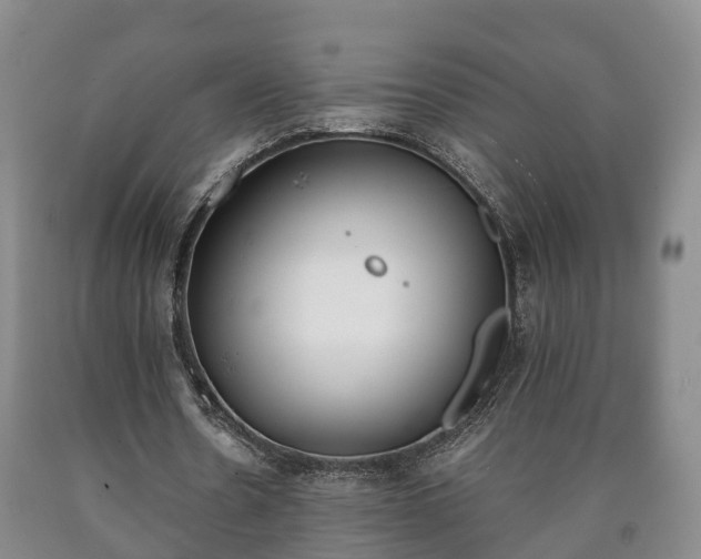 X0000090700530200707271111