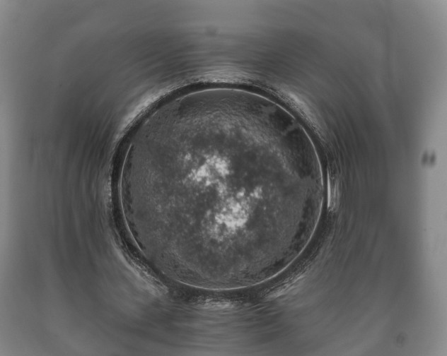 X0000090700531200707271111