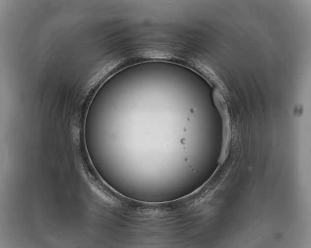 X0000090700533200707271111