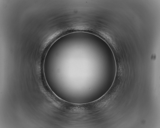 X0000090700535200707271111