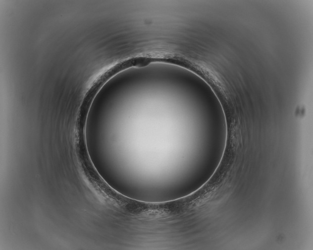 X0000090700536200707271111