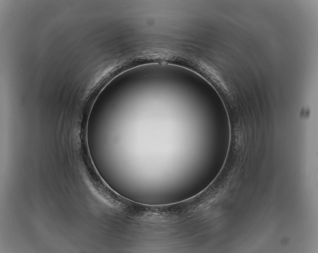 X0000090700538200707271111