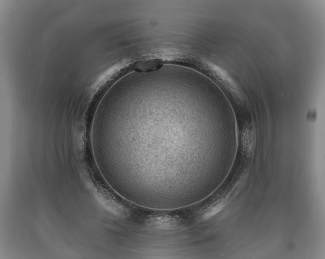 X0000090700540200707271111