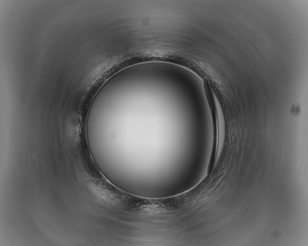 X0000090700544200707271111