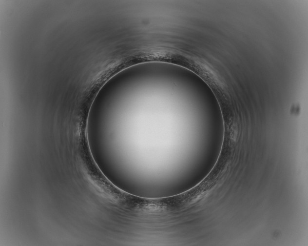 X0000090700546200707271111