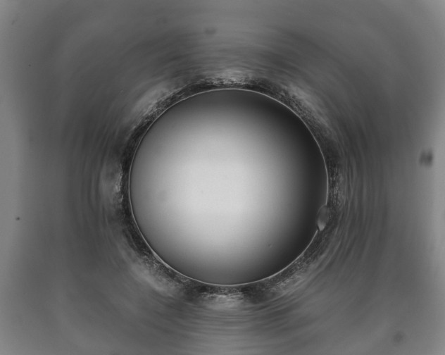 X0000090700548200707271111