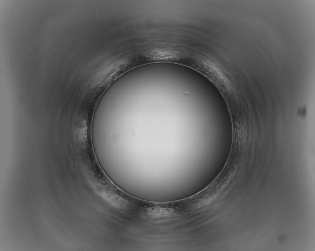 X0000090700549200707271111