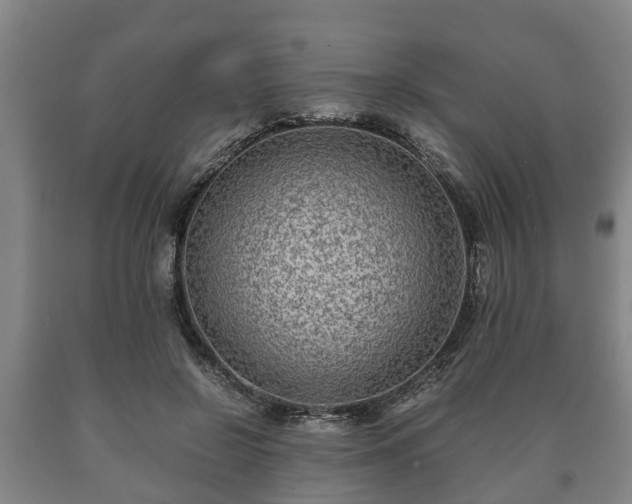 X0000090700550200707271111