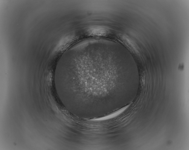 X0000090700551200707271111