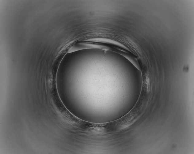 X0000090700552200707271111