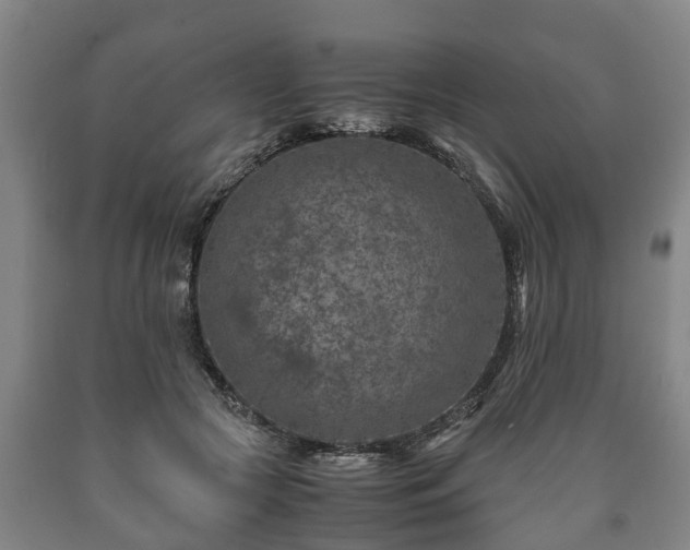 X0000090700553200707271111