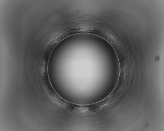 X0000090700554200707271111